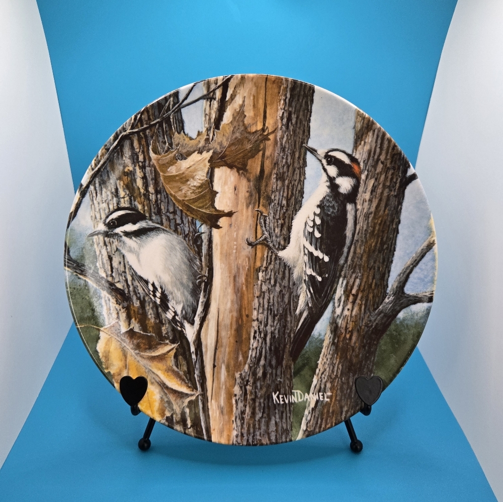 Woodpecker Decorative Plate by Kevin Daniel